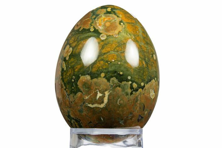 Polished Rainforest Jasper (Rhyolite) Egg - Australia #312718